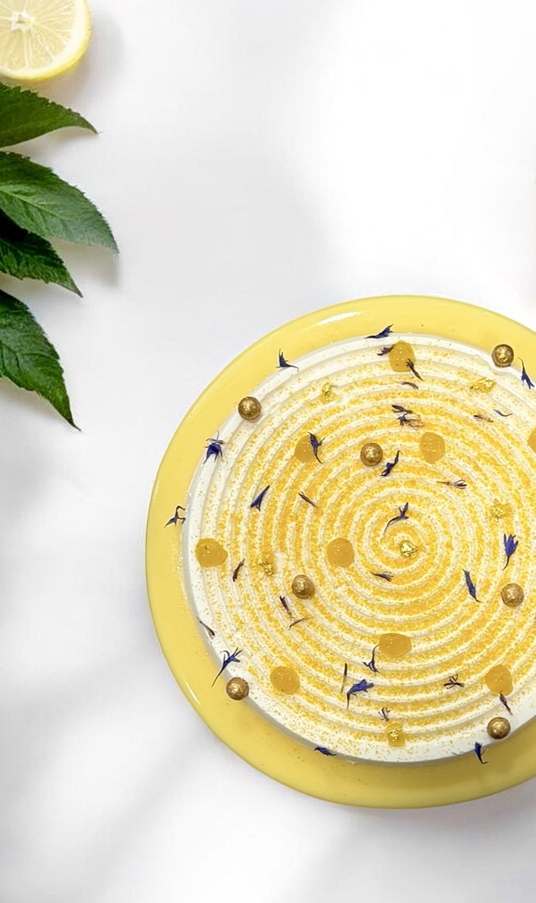 LE CITRON CÉDRAT - DESSERT INDIVIDUEL - SANS GLUTEN